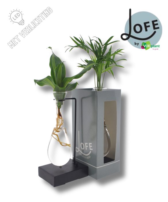 LOFE|Intenz mix in Hang glas MetAAL+VER- levertijd:24uur, D 12