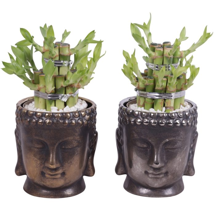 Lucky Bamboo Shape Round 2B in Ceramic Buddha Gold/Silver Ø12cm, D 12