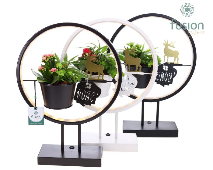 Metalen LED globe met rendier en Kerst Arrangement, D 30