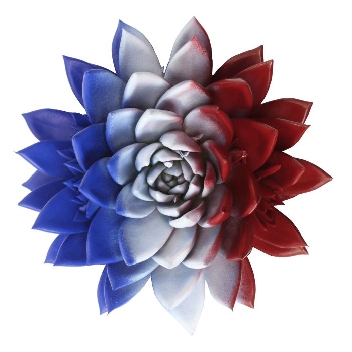 Miranda coloured flag France, D 10,5