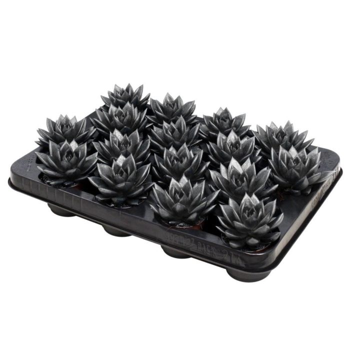 Miranda coloured metallic dark grey, D 6