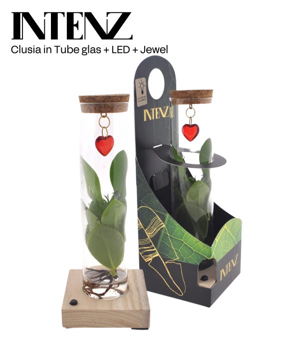 Mix in Tube glas + LED + verpakking + Jewel (hartje), D 7