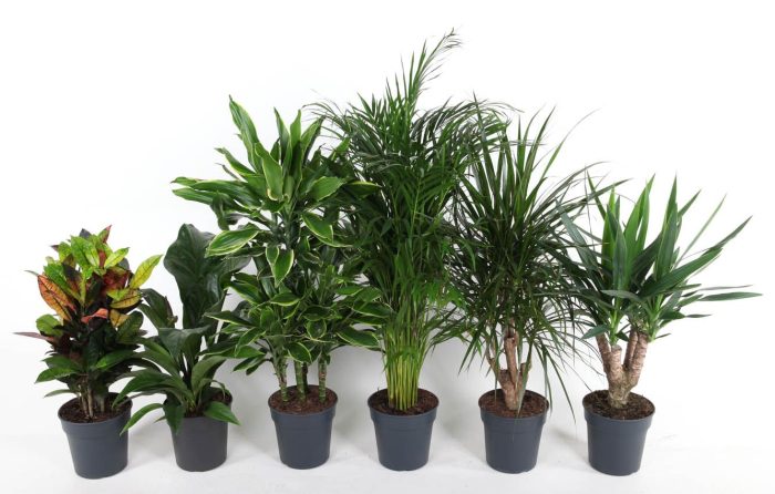 Mix pot 21 80cm, D 21