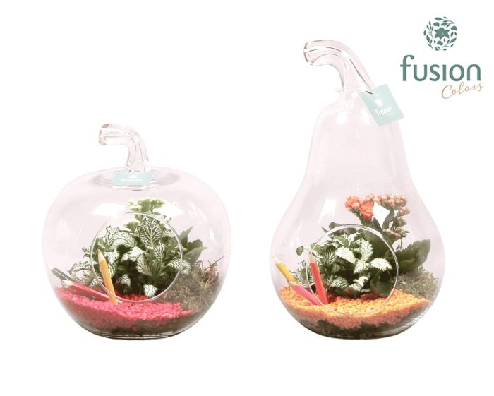 Peer en Appel glas met kamerplanten back to school, D 20