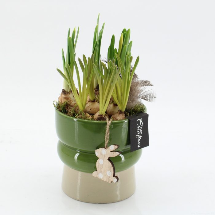 PNCR-2643 Paas narcis creatie, D 14