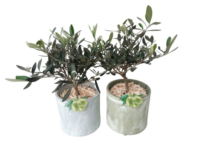 PP14GBOLE Groen/Blauw Handmade Ceramic 14cm Olea Europe Bush, D 14