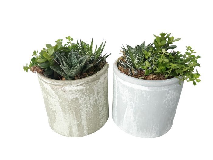 PP14GMX Planter Pot Keramiek 14cm mini plant mix, D 14