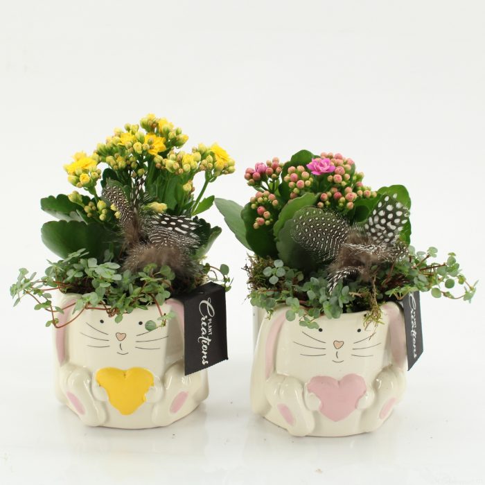 PSCR-2607 Easter Essentials, D 11