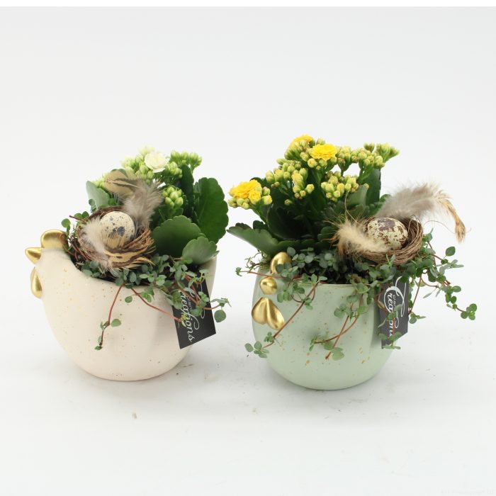 PSCR-2608 Easter Essentials, D 14