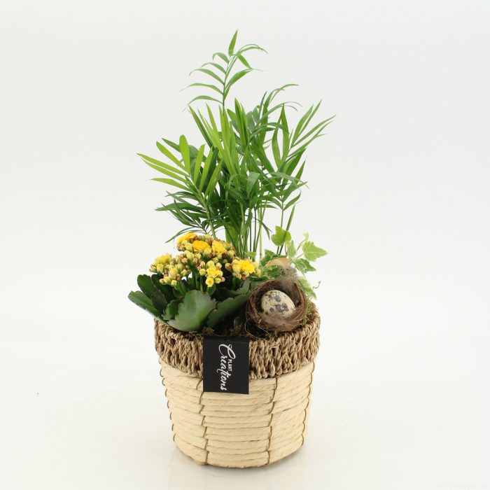 PSCR-2619G Easter Essentials, D 16