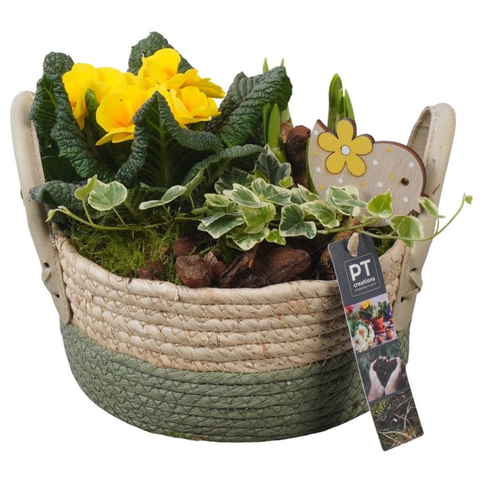 PTBM3824 Arrangement Flower Bulbs Mix in rieten mand, D 21