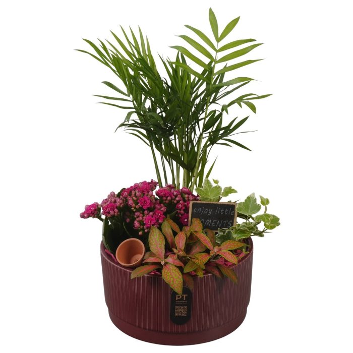 PTIB5123 Arrangement Indoor in keramiek schaal, D 19