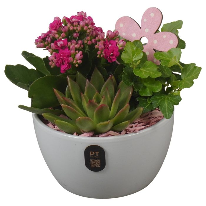 PTIB5149 Arrangement Indoor in keramiek schaal, D 14