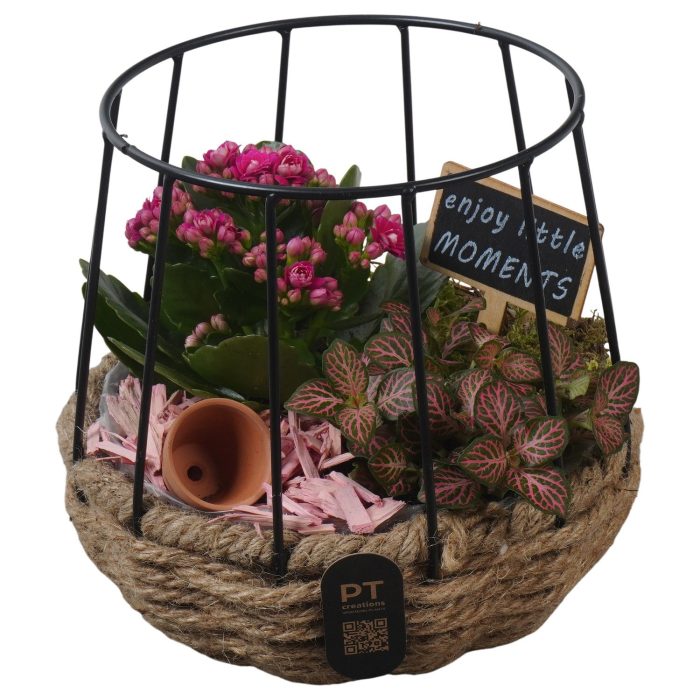 PTIB5267 Arrangement Indoor in touwmand met metaal, D 15