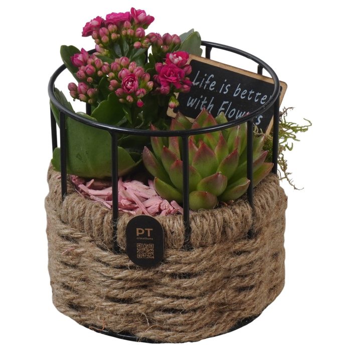 PTIB5271 Arrangement Indoor in touwmand met metaal, D 12