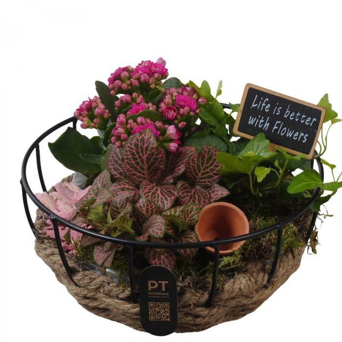 PTIB5275 Arrangement Indoor in touwmand met metaal, D 20