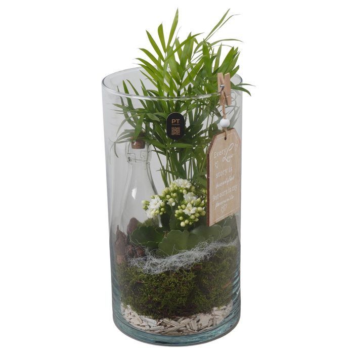 PTIG2675 Arrangement Indoor in glazen vaas, D 16