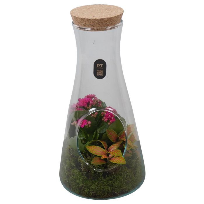 PTIG2690 Arrangement Indoor in glas fles, D 13