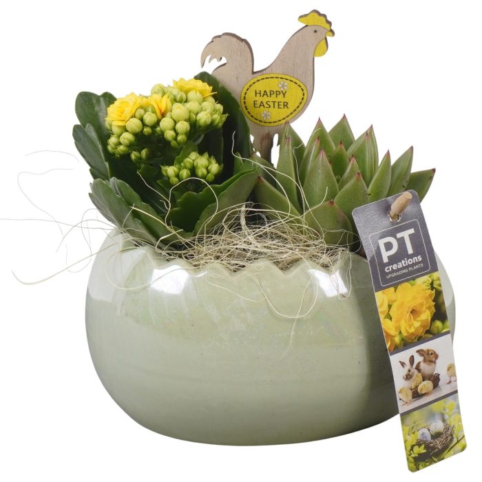 PTPB6485 Arrangement Easter in keramiek ei, D 16