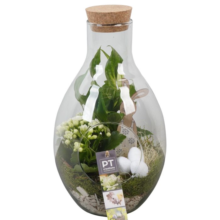 PTPG9405 Arrangement Easter in glas fles, D 18