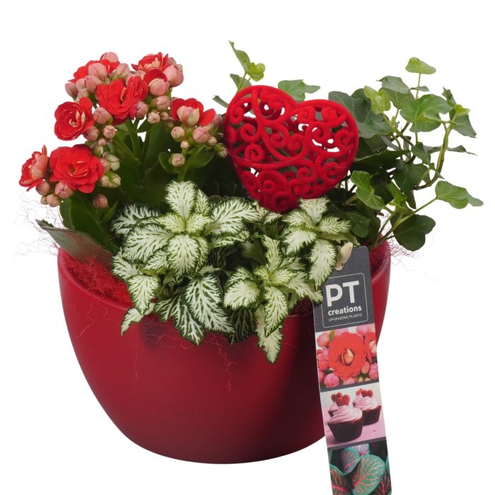 PTVMB2203 Arrangement Valentines-Mothersday in keramiek schaal, D 16