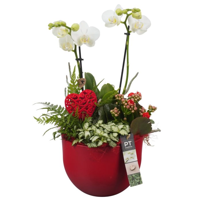 PTVMB2207 Arrangement Valentines-Mothersday in keramiek sierpot, D 19