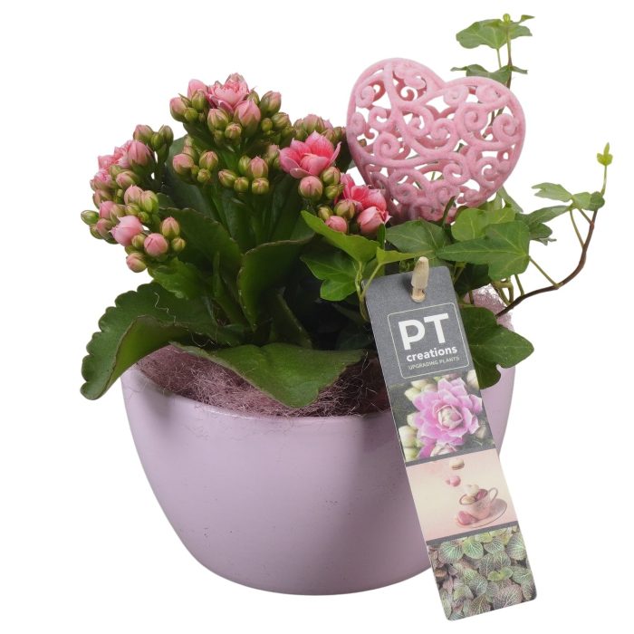 PTVMB2210 Arrangement Valentines-Mothersday in keramiek schaal, D 14