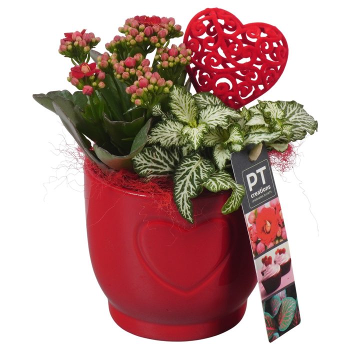PTVMB2252 Arrangement Valentines-Mothersday in keramiek sierpot, D 11