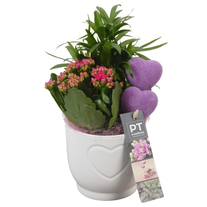 PTVMB2259 Arrangement Valentines-Mothersday in keramiek sierpot, D 11