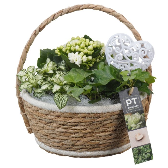 PTVMB2339 Arrangement Valentines-Mothersday in riet mand, D 20