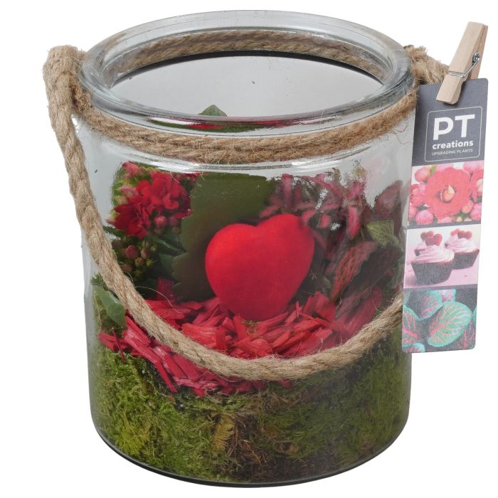 PTVMG4912 Arrangement Valentines-Mothersday in glas vaas, D 14