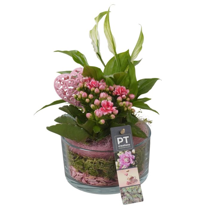 PTVMG4915 Arrangement Valentines-Mothersday in glas schaal, D 14