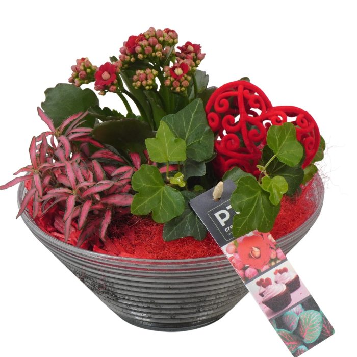PTVMG4963 Arrangement Valentines-Mothersday in glas schaal, D 19