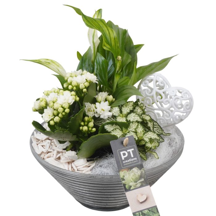 PTVMG4969 Arrangement Valentines-Mothersday in glas schaal, D 19