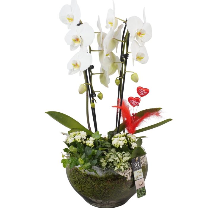 PTVMG4996 Arrangement Valentines-Mothersday in glas schaal, D 23