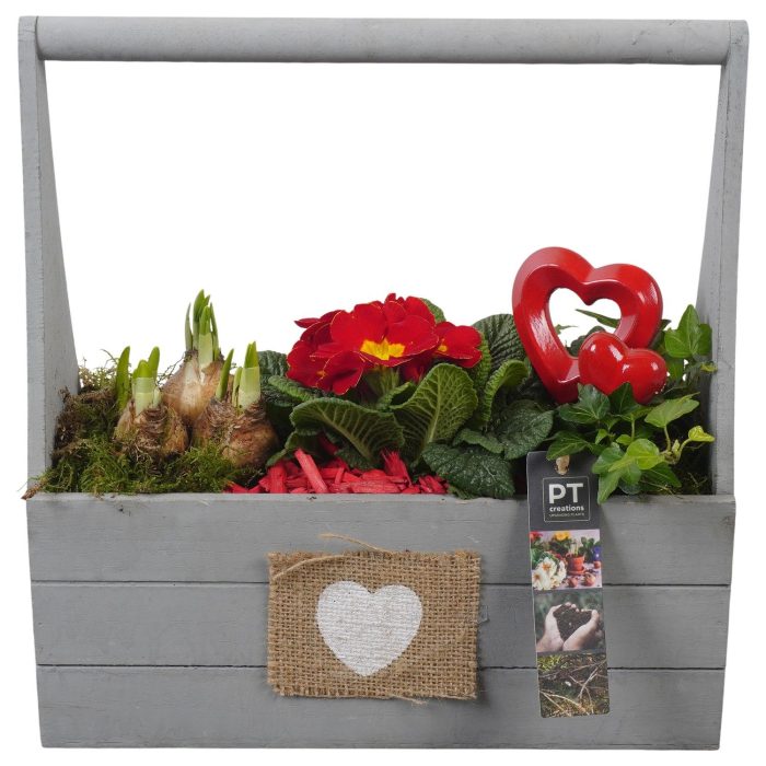 PTVO3621 Arrangement Valentine Outdoor in houten bak, D 30