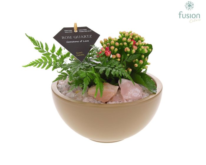 Schaal keramiek Moon Medium beige met Arrangement, D 18