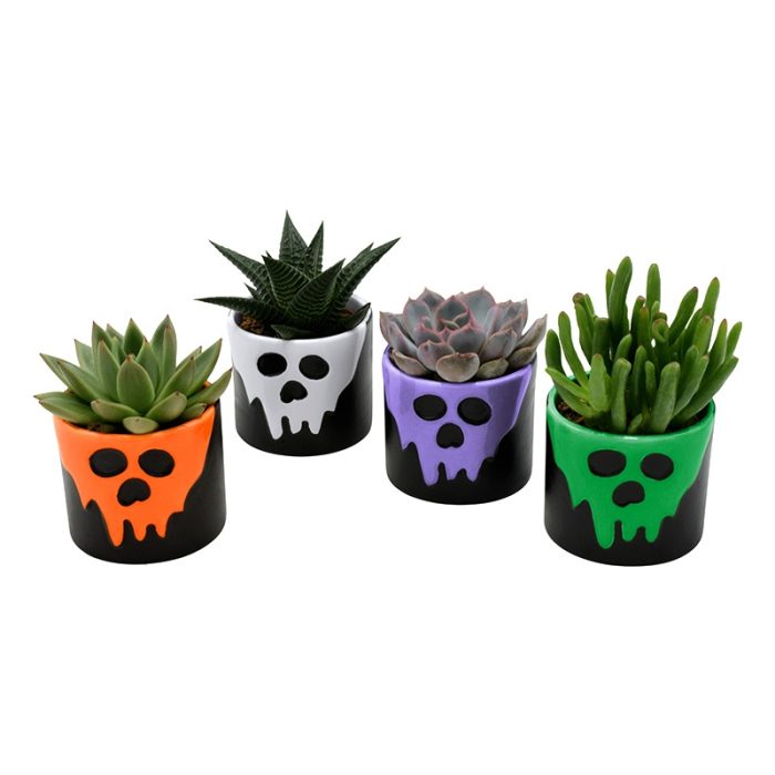 Succulent in Halloween Scream ceramics, D 7