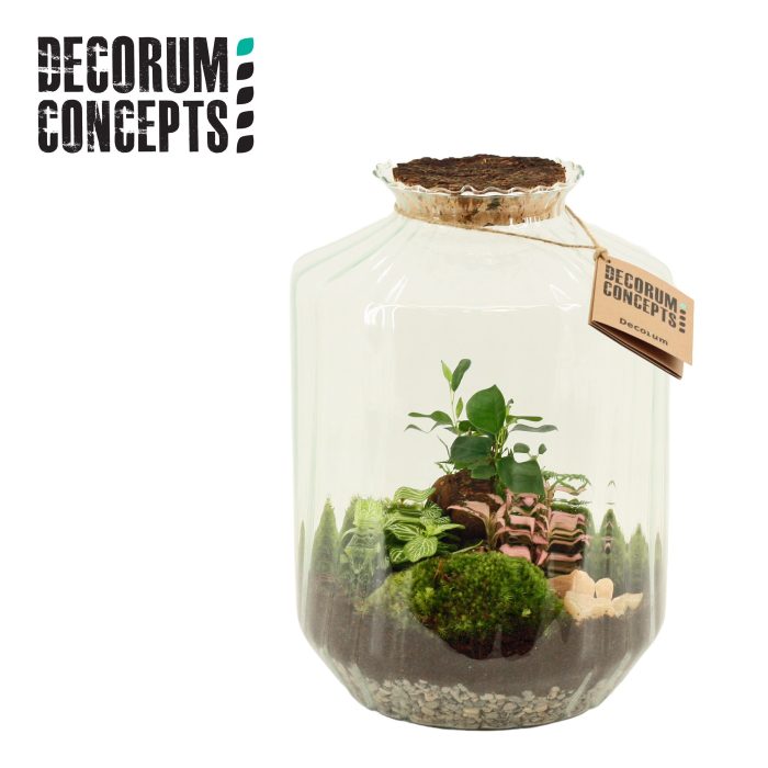 Terrarium Strepe (Decorum concepts), D 25