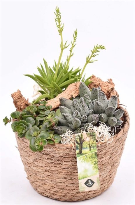 Touwmand naturel 18cm, D 18