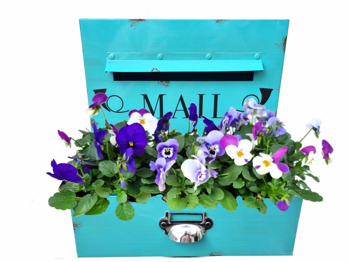 V305-9003 Viola brievenbus blauw, D 29