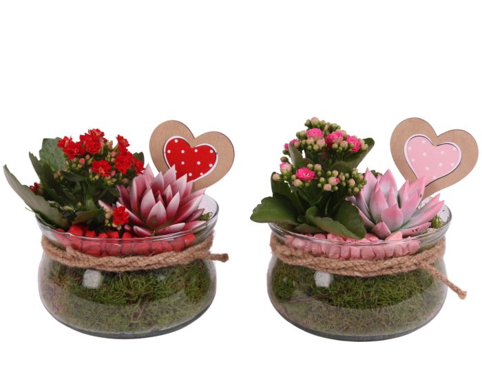 Valentine Arr. Indoor Glass Bowl with Rope Ø16cm 2PP, D 16