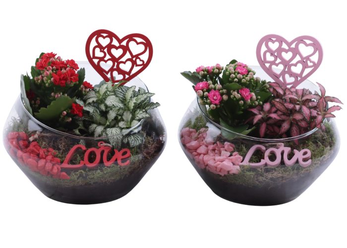 Valentine Arr. Indoor Glass Oblique UFO Vase Ø20cm 2PP, D 20