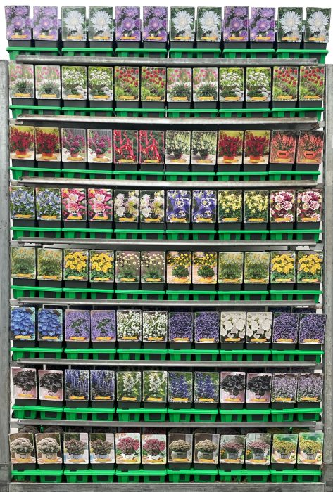 Vaste planten Mix CC 5 P11, D 11