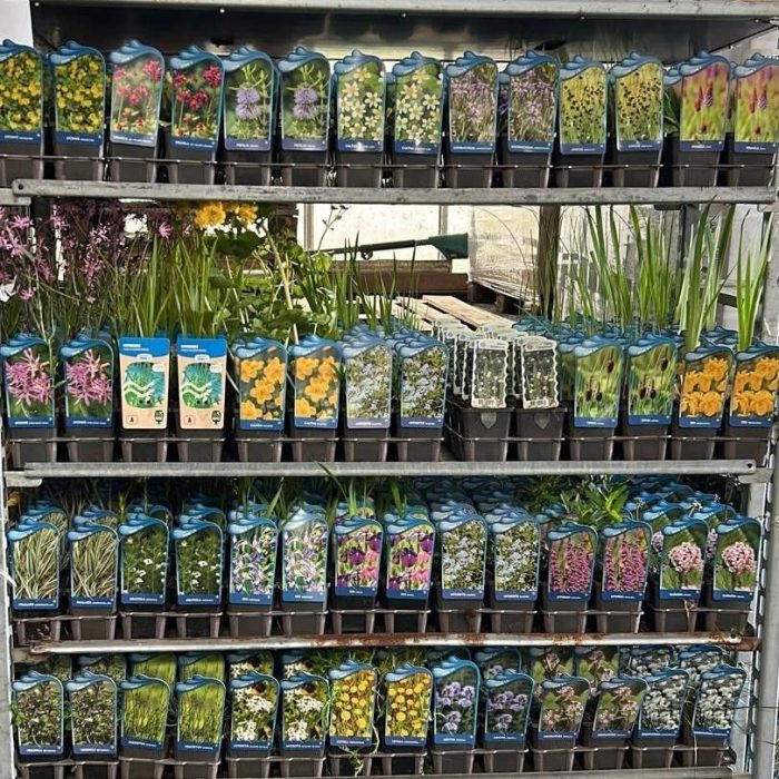 vijverplanten, D 9