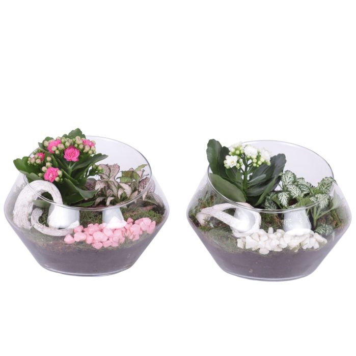 Yearround Arr. Indoor Glass Oblique UFO Vase Ø20cm 2PP, D 20