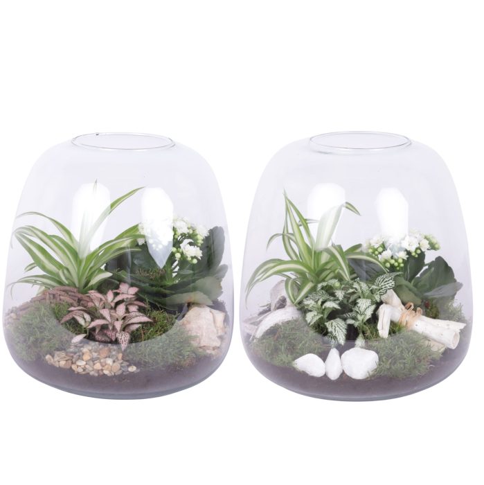 Yearround Arr. Indoor Glass Vase Terrarium Round Ø23cm 3PP, D 23