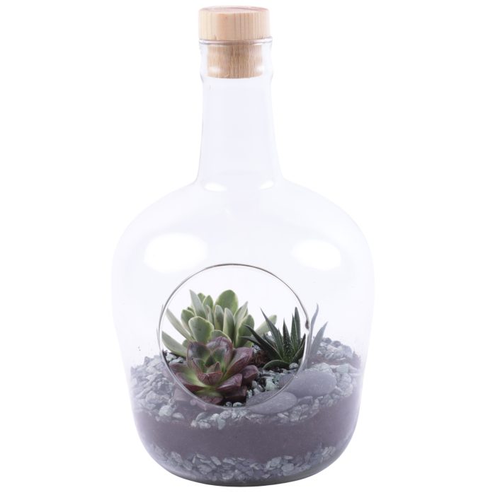 Yearround Arr. Succulent Glass Terrarium Ø18cm 3PP, D 18