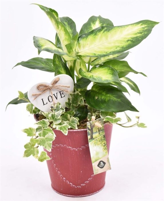 Zink pot rood met hart 13cm, D 13