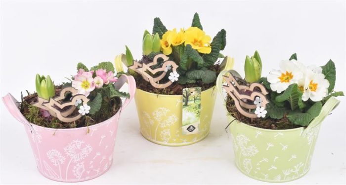 Zink schaal decor mix kl 15.5cm, D 16